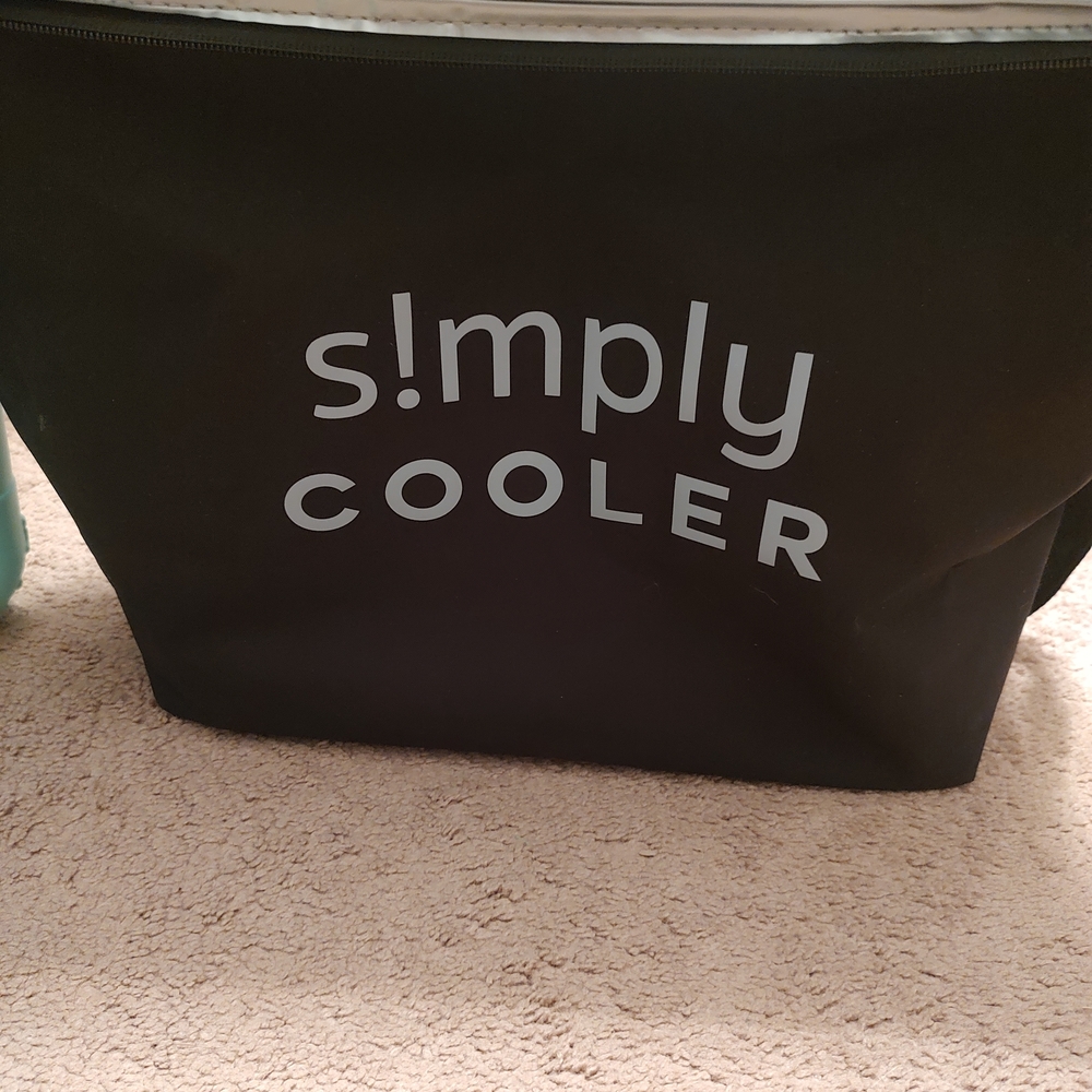 Seafoam Green Tote Bag With Cooler Insert - Picture 8 of 12